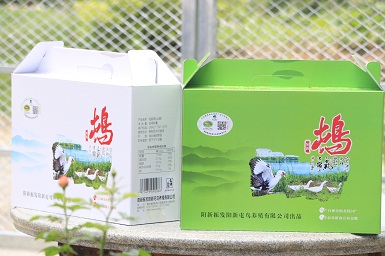 陽新屯鳥 陽新屯鳥